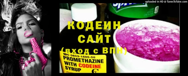 шишки Белоозёрский