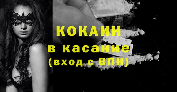 шишки Белоозёрский