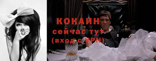 spice Богородск