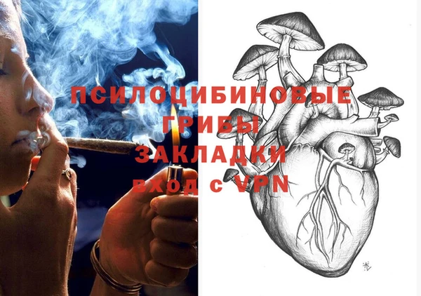 сатива Богородицк