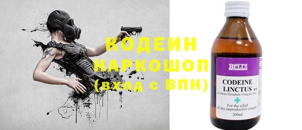 шишки Белокуриха