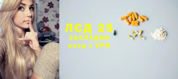сатива Богородицк