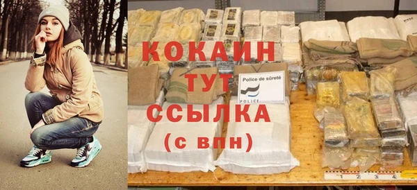 шишки Белокуриха