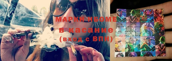шишки Белокуриха