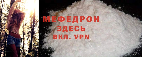 шишки Белокуриха