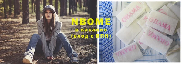 шишки Белоозёрский