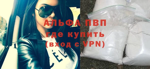 шишки Белокуриха