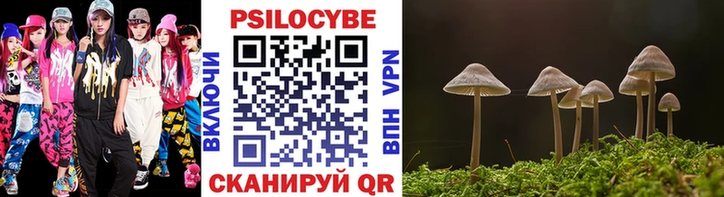 Псилоцибиновые грибы GOLDEN TEACHER  Купить  Гудермес 