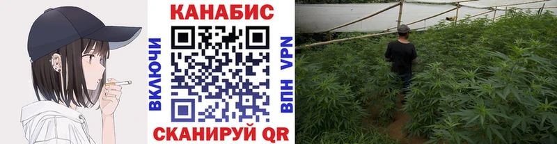 Купить где Гудермес Бошки марихуана план